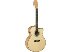 Tanglewood TW66 FMP B