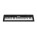 See the photo of the Casio CTK-3200 Casio CTK-3200