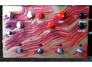 Jam Pedals Massimo Varini Signature