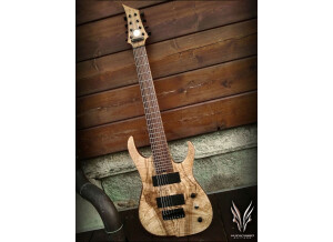 Hufschmid Guitars H8 Baritone
