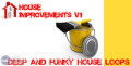 Loopmasters House Improvements v1