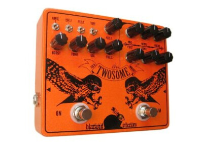 Blackout Effectors Twosome Dual Fuzz