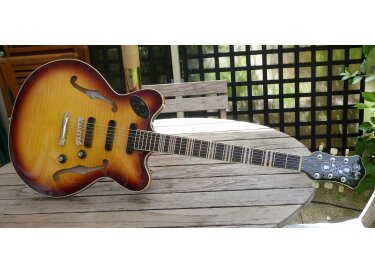 Hofner Guitars Verythin3 CT