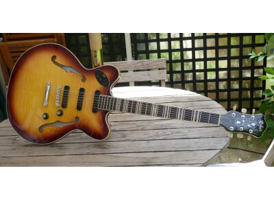 Hofner Guitars Verythin3 CT