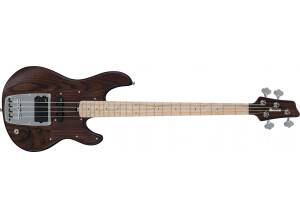 Ibanez ATK800