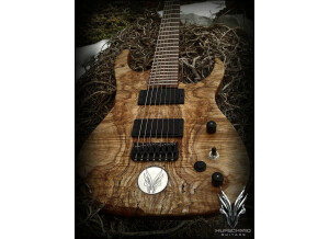 Hufschmid Guitars H7 Old Growth Spalted Maple top