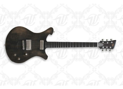 Wild Customs The WildOne EVO