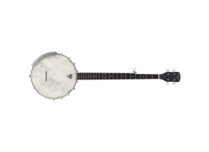 Gretsch G9450 "Dixie" 5-String Open Back Banjo