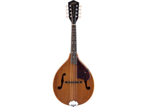Gretsch G9310 New Yorker Supreme Mandolin