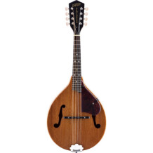 Gretsch G9310 New Yorker Supreme Mandolin