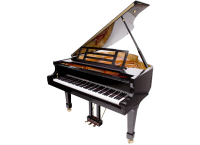 Feurich 161 Professional I