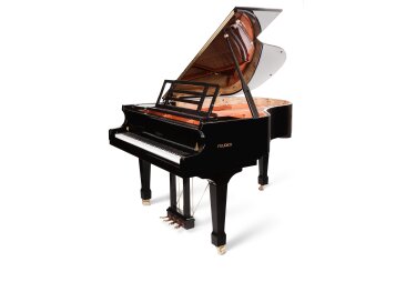 Feurich 178 Professional 2