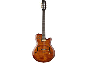 Godin Multiac Jazz SA