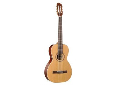 Art & Lutherie Ami Nylon Cedar