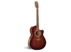 Art & Lutherie Folk CW Cedar Quantum 1