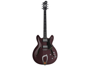 Hagstrom Viking Rex-Tone