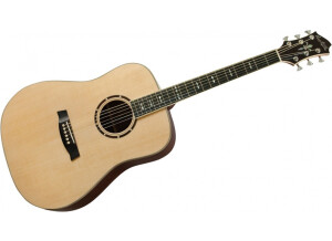 Hagstrom Siljan Dreadnought