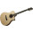 Voir la photo du Hagstrom Siljan Dreadnought CE Hagstrom Siljan Dreadnought CE