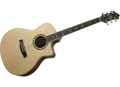 Hagstrom Siljan Dreadnought CE