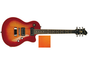 Hagstrom Deluxe