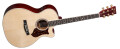4 guitares Martin & Co pour les beaux jours