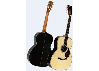 Guitares Boucher AVT-BN-000-12FTB