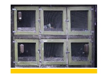 Detunized DTF015 - Nasty Racks