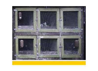 Detunized DTF015 - Nasty Racks