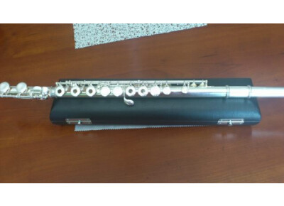 Trevor James virtuoso (tete et tube argent)