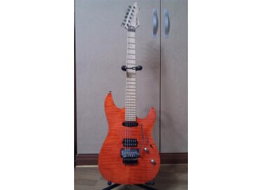 Laguna Guitars le924