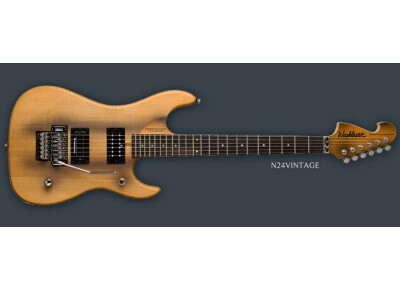 Washburn N24
