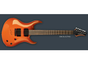 Washburn XM-DLX2
