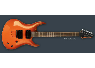 Washburn XM-DLX2