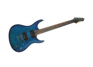 Washburn RX30F