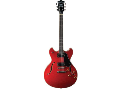 Washburn HB30