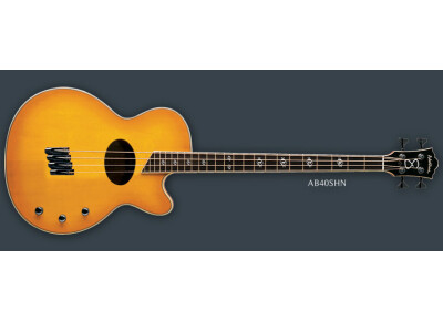 Washburn AB40SH