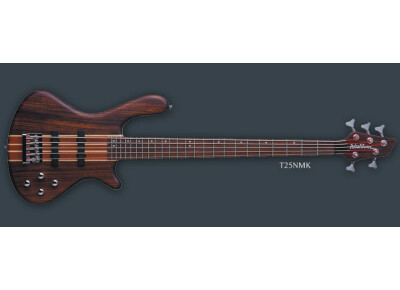 Washburn T25