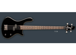 Washburn T12