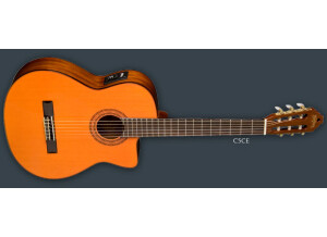 Washburn C5CE