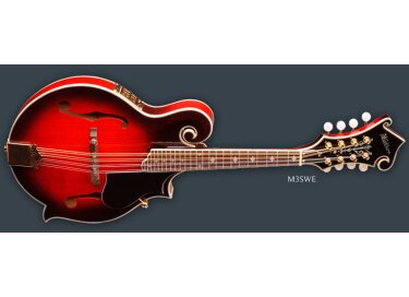 Washburn M3SWE