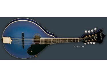 Washburn M1SDL