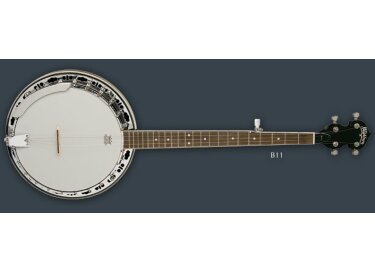 Washburn B11