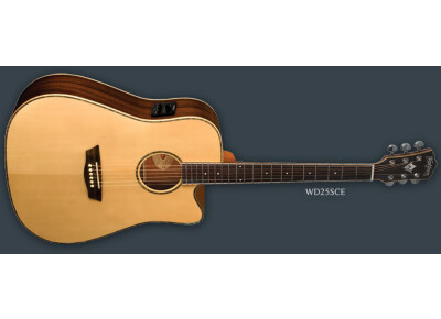 Washburn WD25SCE