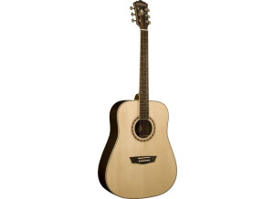 Washburn WD20S