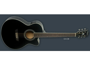 Washburn Festival EA12