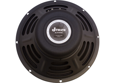 Jensen Blackbird 100 10"