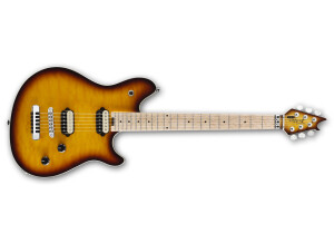EVH Wolfgang Special HT