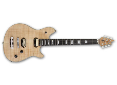 EVH Wolfgang USA HT