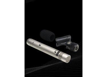 LD Systems D1102