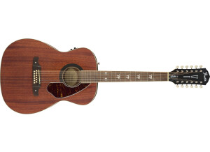 Fender Artist Design Tim Armstrong Hellcat-12 String